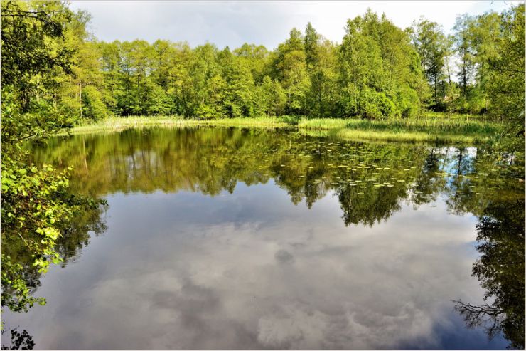 lake09
